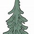 Image result for Evergreen Tree Clip Art