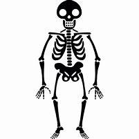 Image result for Animated Halloween Skeleton