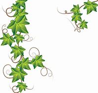 Image result for Leaf Vine Corner Border Clip Art