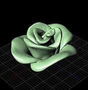 Image result for Rose 3D Model STL