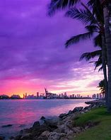 Image result for Miami Sunset