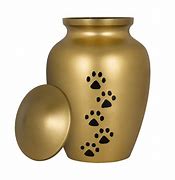 Image result for Pet Urns for Cats