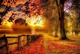 Image result for Summer Fall Images