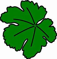 Image result for Green Leaf Vine Clip Art