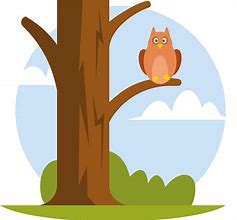 Image result for Owl On Tree Branch