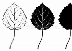 Image result for Aspen Leaf Silhouette