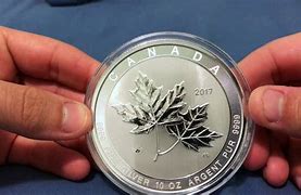 Image result for Gold Oak Leaf Coin