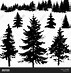 Image result for Tree Types Line Art