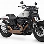 Image result for Harley Softail Frame