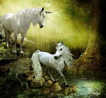 Image result for Fairy Tale Unicorn