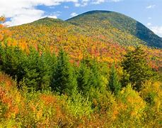 Image result for New England Fall Foliage