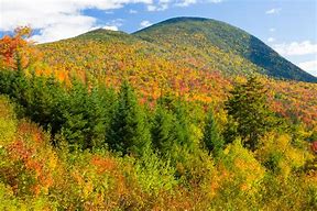 Image result for New England Fall Scenes