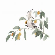 Image result for Birds On Branches