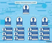 Image result for Professional Organization Chart Design