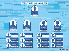 Image result for Hospital Organizational Chart Design