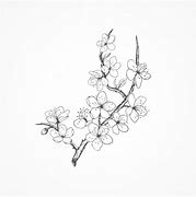 Image result for Japanese Cherry Blossom Vector