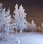 Image result for 4K Nature Wallpaper Winter