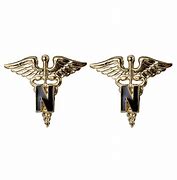 Image result for Us Air Force Nurse Insignia