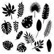 Image result for Palm Tree Leaf Silhouette