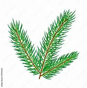 Image result for Pine Tree Leaves Vector