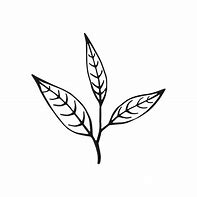 Image result for Green Tea Leaves Icon