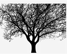 Image result for Big Tree Silhouette