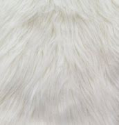 Image result for White Monkey Fur Texture Loop