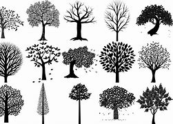 Image result for Pine Tree Silhouette Doodle