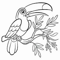 Image result for Cartoon Bird Coloring Pages