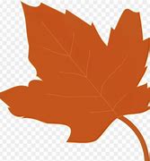 Image result for Autumn Leaf Color Vector