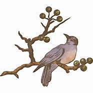 Image result for Bird On Branch Graphic