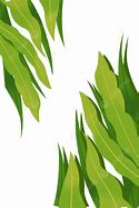 Image result for Six Leaf Plant Silhouette