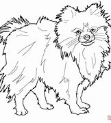 Image result for Pomeranian Dog Coloring Pages