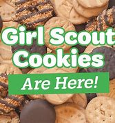 Image result for Girl Scout Cookie Pixel Art