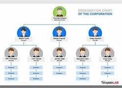 Image result for Org Chart Template for Word