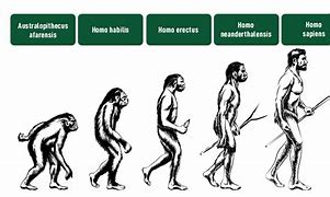 Image result for Homo Sapiens Ancestry