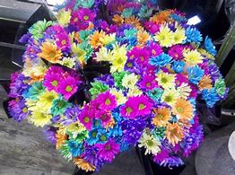 Image result for Bright Colored Flowers