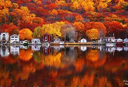 Image result for Fall in CT