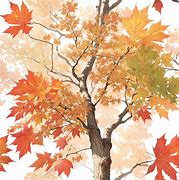 Image result for Watercolor Maple Tree with Leaf