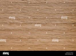 Image result for Quercus Alba Wood