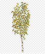 Image result for Birch Tree Branch Clip Art