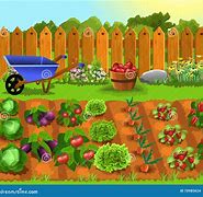 Image result for Fruit and Vegetable Garden Clip Art