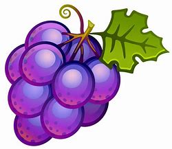 Image result for Happy Grapes Clip Art