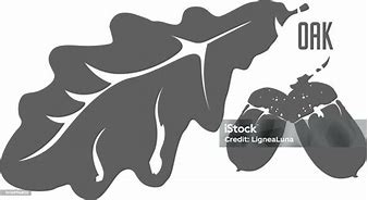 Image result for Oak Leaf Icon