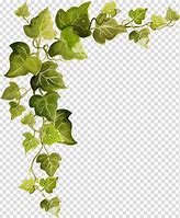 Image result for Clip Art True Vine Ivy