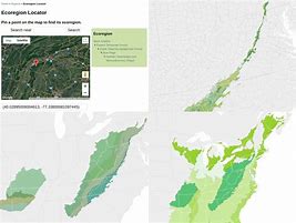 Image result for BC Ecoregions Map