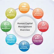 Image result for Workday Human Capital Management