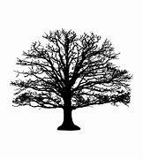 Image result for Tree Leaves Silhouette