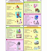 Image result for Dehydration Synthesis Equation