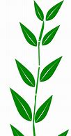 Image result for Animated Fcurly Leaf